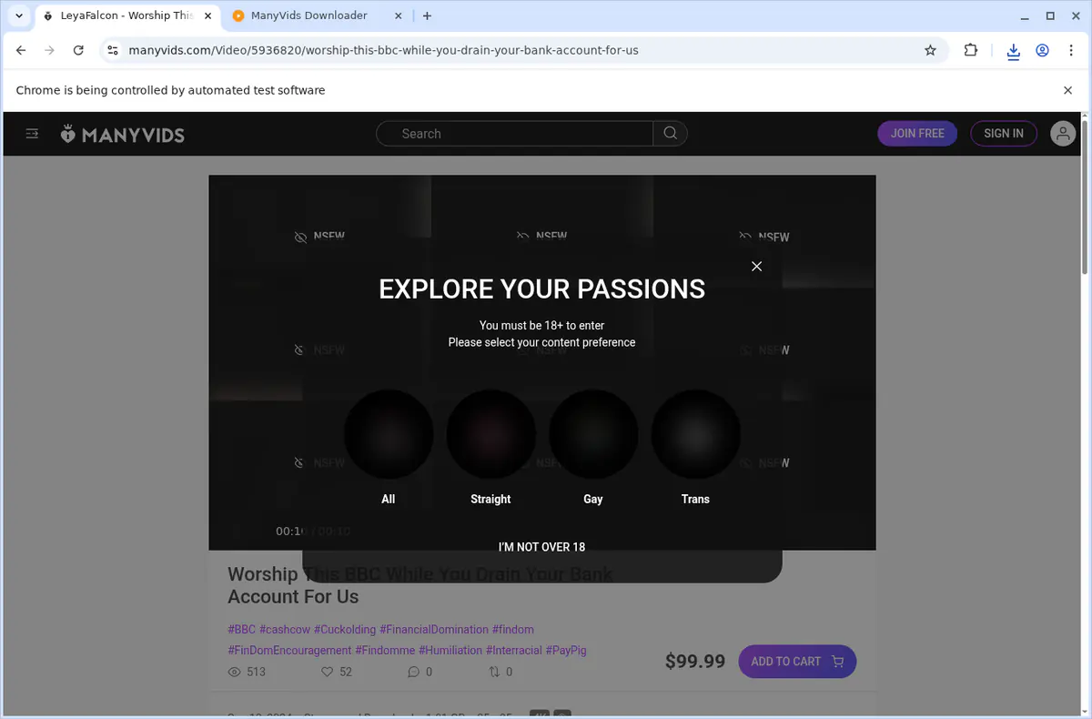 ManyVids Video Downloader browser extension screenshot 3