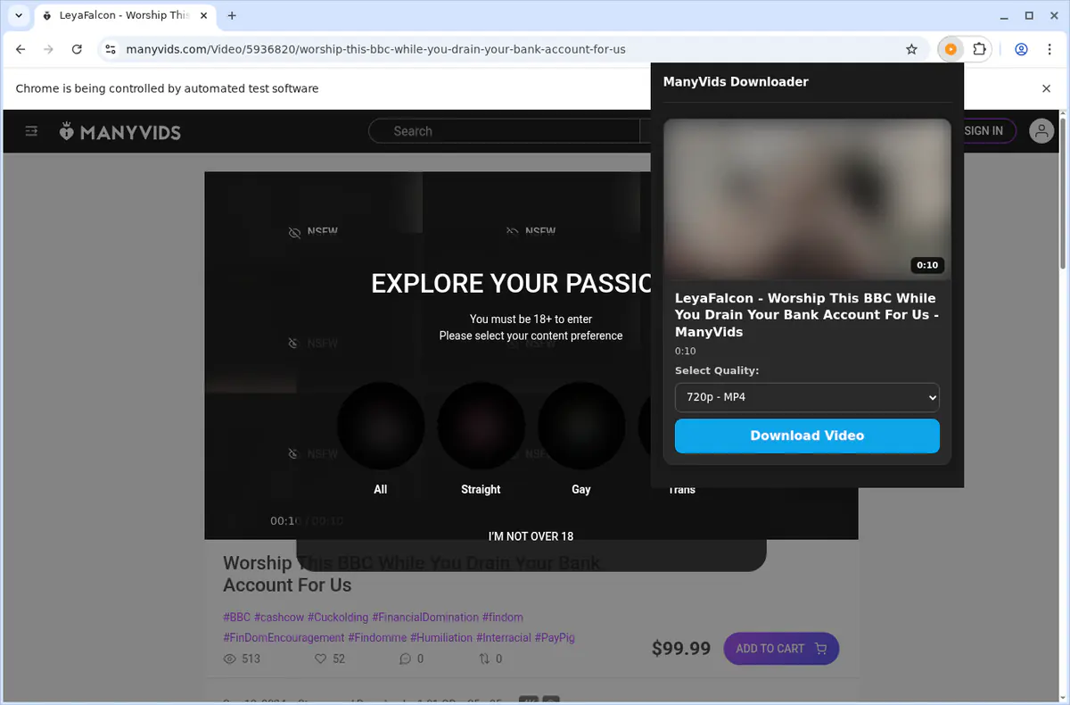 ManyVids Video Downloader browser extension screenshot 4