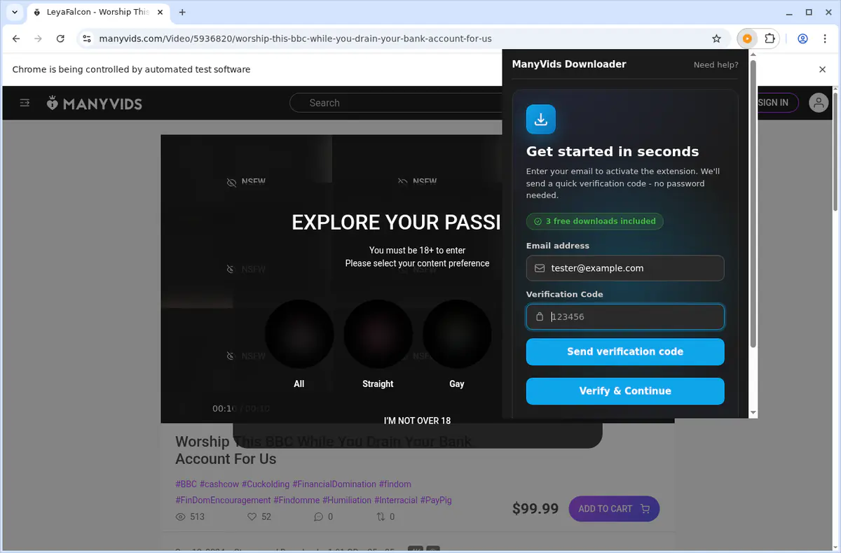 ManyVids Video Downloader browser extension screenshot 5
